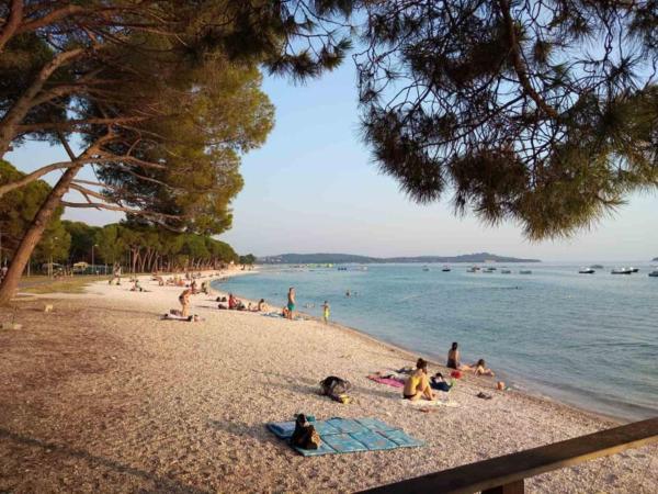 Villa Kamelija Fažana エクステリア 写真